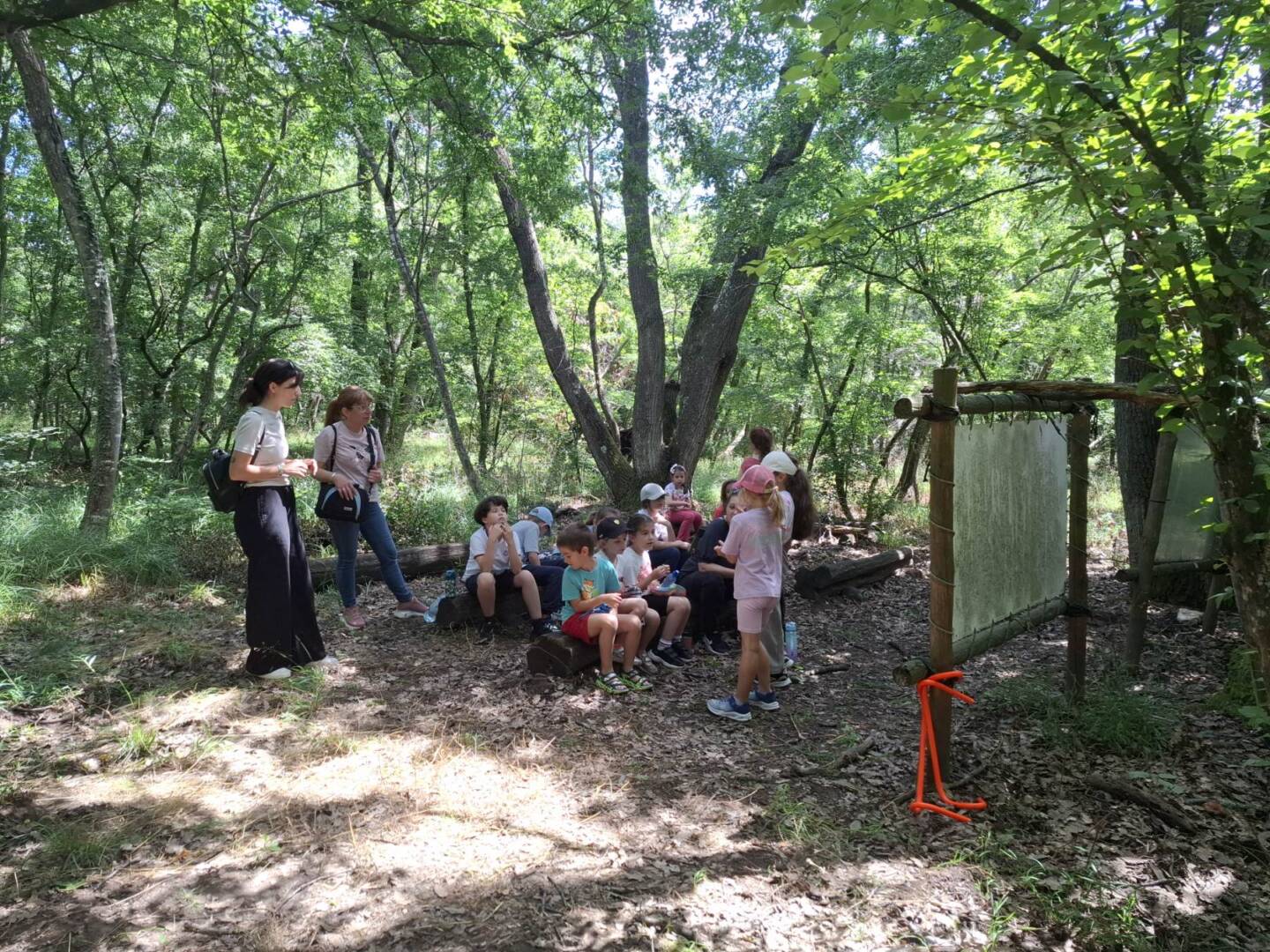 "С грижа за гората" проект към кампания "Безотговорността е най-опасната искра"